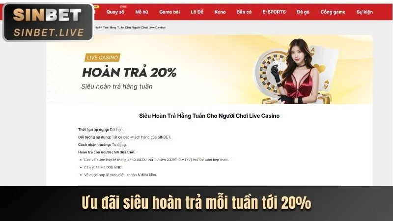 Tầm quan trọng của khuyến mãi trong cá cược trực tuyến